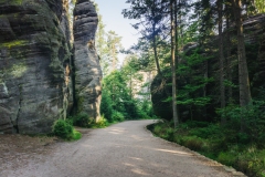 Adrspasko-teplicke-skaly_Cepesta_cesta3
