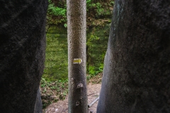 Adrspasko-teplicke-skaly_Cepesta_znacka