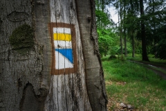 1_Cepesta_Bukova_znacky