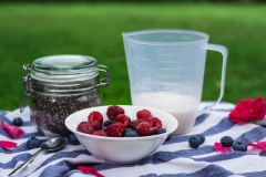 Chia-pudink_ingredience_Cepesta-2