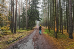 Drhlensky-rybnik_cesta-lesem
