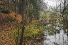 Drhlensky-rybnik_hraz
