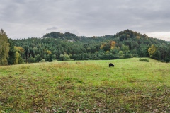 Cepesta_Hynsta_Prihrazske-skaly