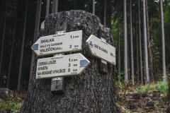 Cepesta_Hynsta_rozcesti