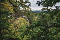 Cepesta_vyhled-ze-zriceniny-Hynsta