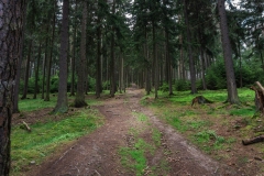 Cepesta_Kluk_Budejovice_kopec