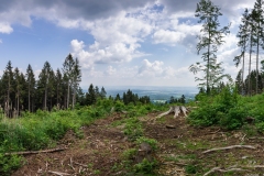 Cepesta_Kluk_vyhled