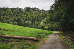 Cepesta_Kokorinsky-dul_cestou-k-Boudeckemu-mlynu