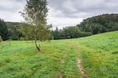 Cepesta_Kokorinsky-dul_louka