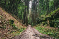 Cepesta_Kokorinsky-dul_rokle-Mocidla