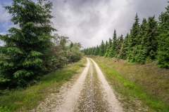 Cepesta_Palicnik_cesta-2