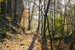 Cepesta_udoli-Plakanek-podzim