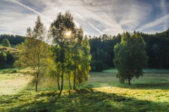 Podtrosecka-udoli_louky_Cepesta