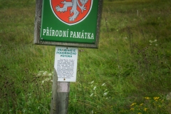 DSC09570