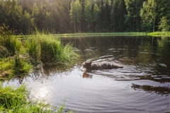 Cerne-jezero-2