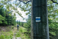 Cepesta_na-vrchol-Smrk_po-modre