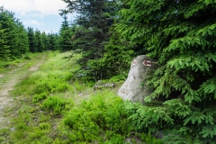 Cepesta_Holubnik_odobocka