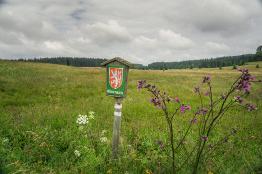 Pohoří na Šumavě - prameniště