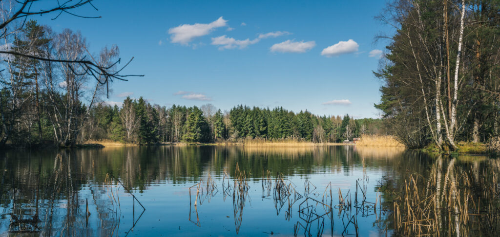 Novohradské hory - Veveřský rybník