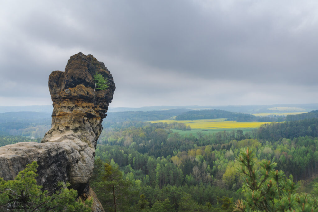 Čapská palice / Kokořínsko