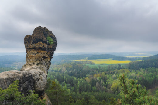 Čapská palice / Kokořínsko