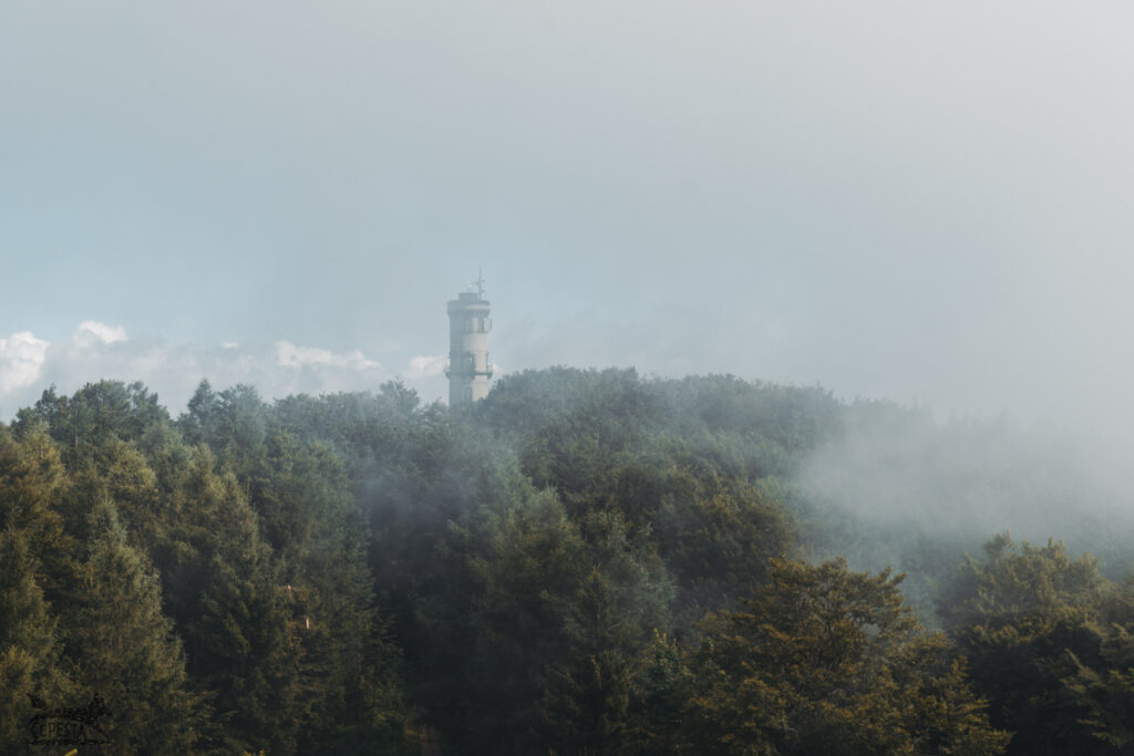 Rozhledna Hochwald / Hvozd - Lužické hory